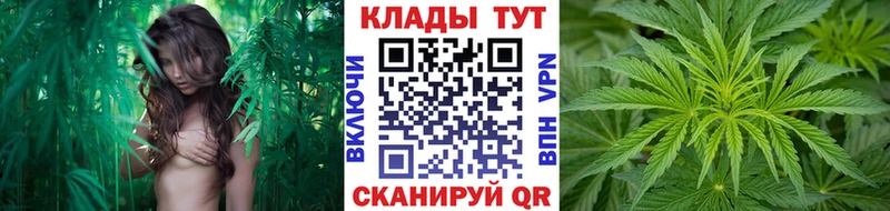 Галлюциногенные грибы Тутаев
