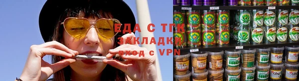 хмурый Алзамай
