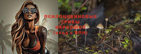 хмурый Алзамай