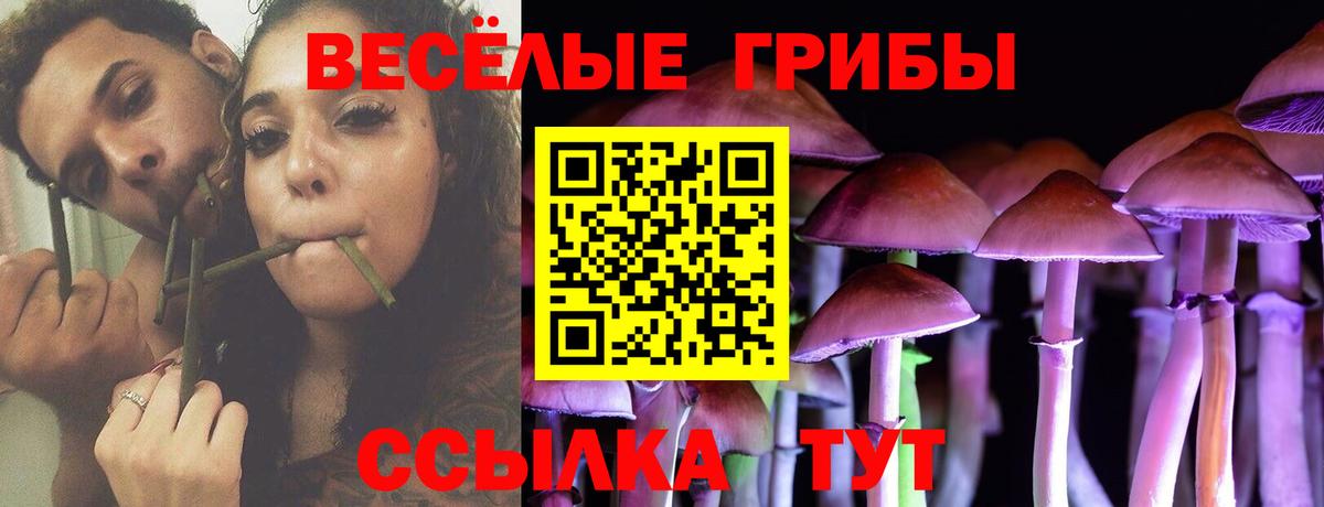 Псилоцибиновые грибы Cubensis Тутаев